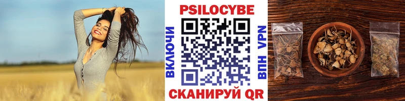 Купить  Питкяранта  Галлюциногенные грибы Magic Shrooms 